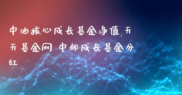 中油核心成长基金净值,天天基金网 中邮成长基金分红