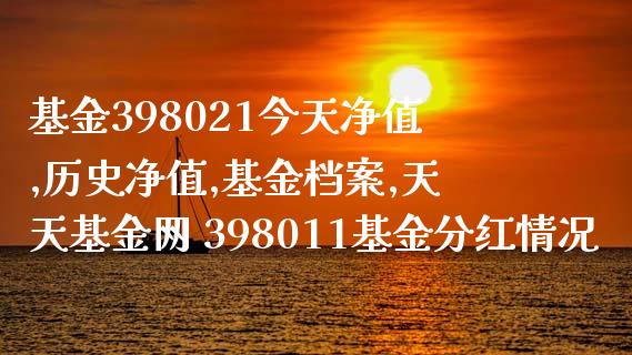 基金398021今天净值,历史净值,基金档案,天天基金网 398011基金分红情况