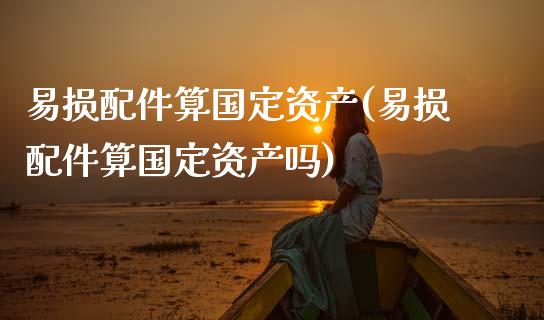 易损配件算国定资产(易损配件算国定资产吗)