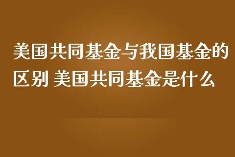 美国共同基金与我国基金的区别 美国共同基金是什么