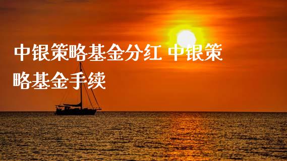 中银策略基金分红 中银策略基金手续_https://www.dglong8.com_基金理财_第1张