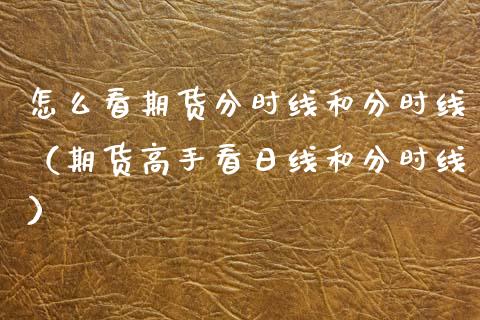怎么看期货分时线和分时线（期货高手看日线和分时线）