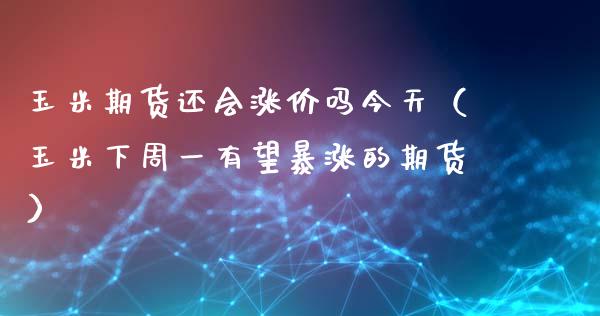 玉米期货还会涨价吗今天（玉米下周一有望暴涨的期货）