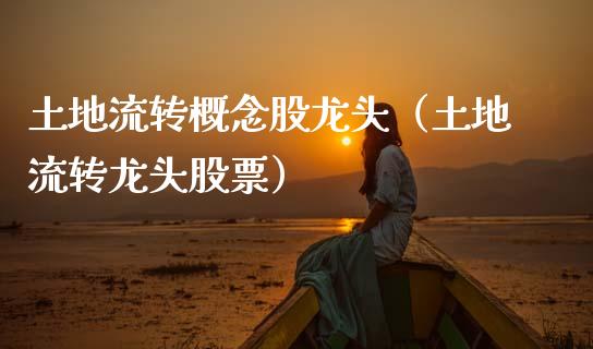 土地流转概念股龙头（土地流转龙头股票）