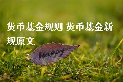 货币基金规则 货币基金新规原文