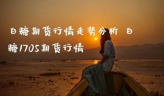 白糖期货行情走势分析 白糖1705期货行情_https://www.dglong8.com_内盘期货_第1张