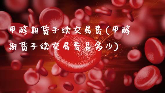 甲醇期货手续交易费(甲醇期货手续交易费是多少)