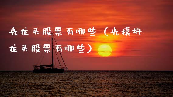 光龙头股票有哪些（光模块龙头股票有哪些）