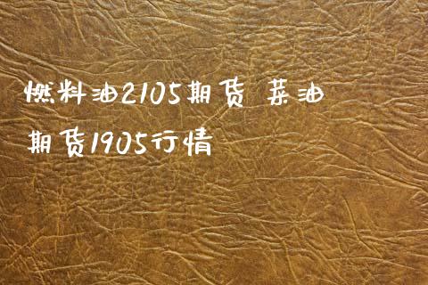 燃料油2105期货 菜油期货1905行情