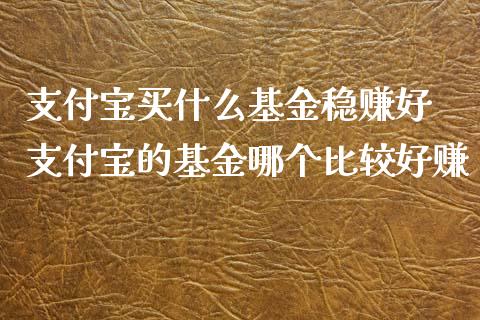 支付宝买什么基金稳赚好 支付宝的基金哪个比较好赚