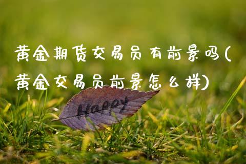 黄金期货交易员有前景吗(黄金交易员前景怎么样)