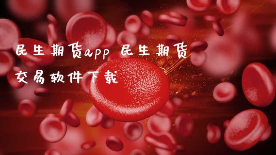 民生期货app 民生期货交易软件下载