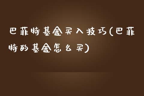 巴菲特基金买入技巧(巴菲特的基金怎么买)