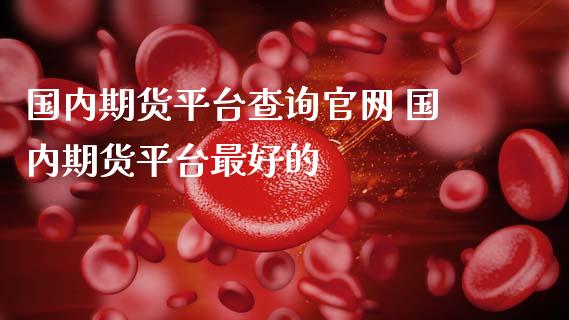 国内期货平台查询 国内期货平台最好的