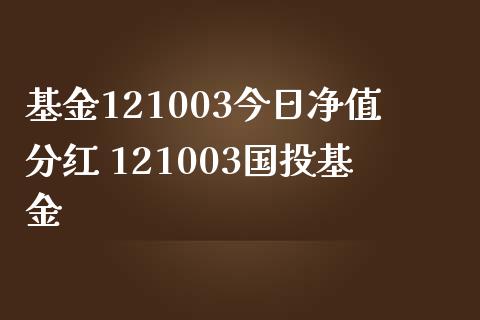 基金121003今日净值分红 121003国投基金