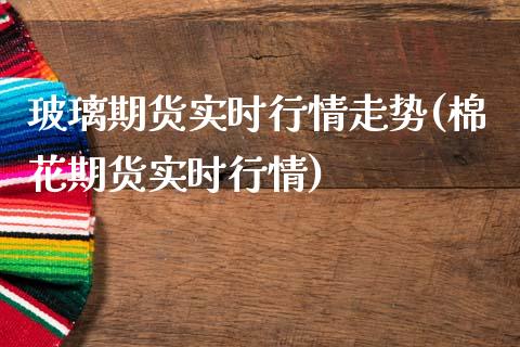 玻璃期货实时行情走势(棉花期货实时行情)
