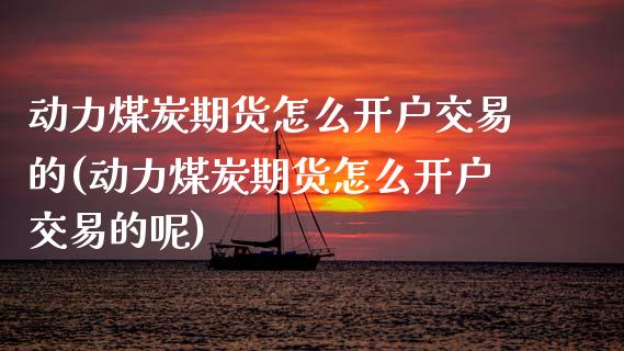 动力煤炭期货怎么开户交易的(动力煤炭期货怎么开户交易的呢)