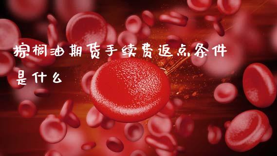 棕榈油期货手续费返点条件是什么