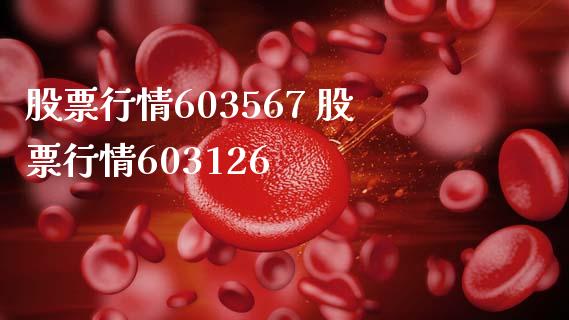 股票行情603567 股票行情603126