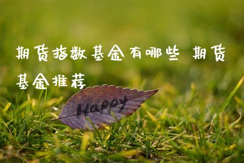 期货指数基金有哪些 期货基金推荐_基金理财_第1张_宇龙理财网 期货指数基金有哪些 期货基金推荐_https://www.dglong8.com_基金理财_第1张