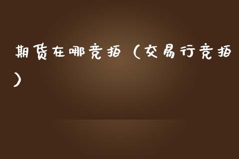 期货在哪竞拍（交易行竞拍）