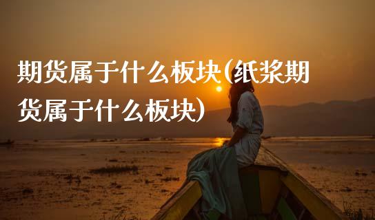 期货属于什么板块(纸浆期货属于什么板块)