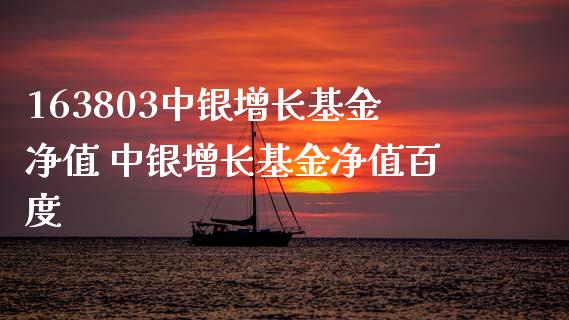 163803中银增长基金净值 中银增长基金净值百度