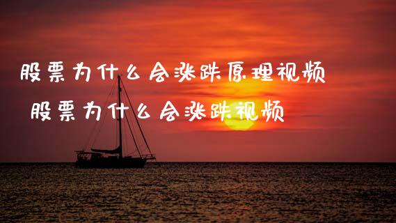 股票为什么会涨跌原理视频 股票为什么会涨跌视频
