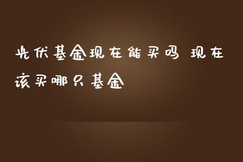 光伏基金现在能买吗 现在该买哪只基金