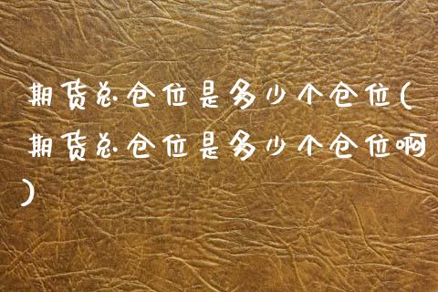 期货总仓位是多少个仓位(期货总仓位是多少个仓位啊)