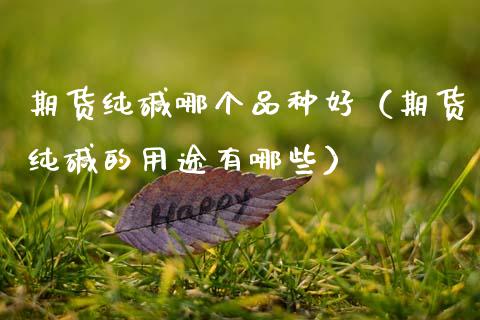 期货纯碱哪个品种好（期货纯碱的用途有哪些）