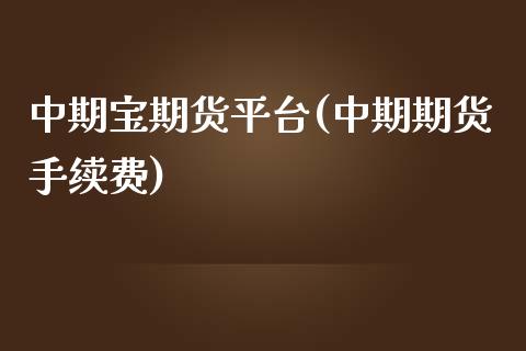 中期宝期货平台(中期期货手续费)