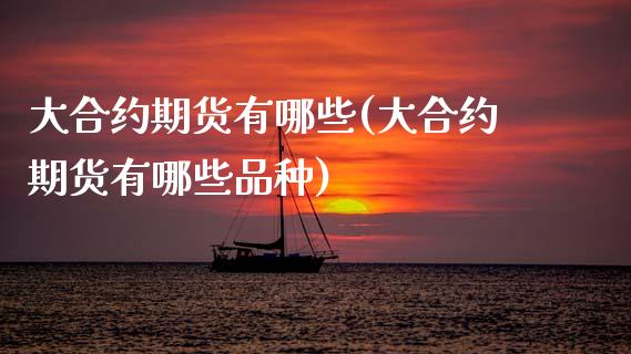 大合约期货有哪些(大合约期货有哪些品种)