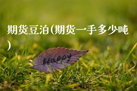 期货豆泊(期货一手多少吨)