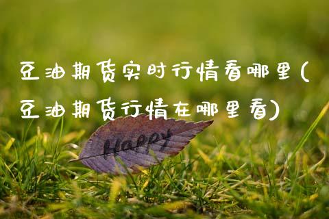 豆油期货实时行情看哪里(豆油期货行情在哪里看)