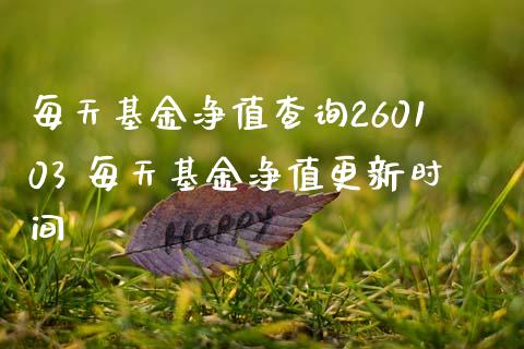 每天基金净值查询260103 每天基金净值更新时间