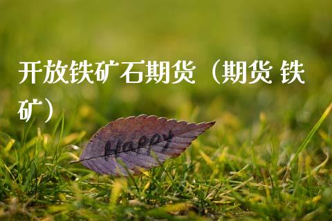 铁矿石期货（期货 铁矿）