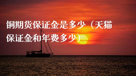 铜期货保证金是多少（天猫保证金和年费多少）