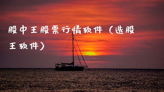 股中王股票行情软件（选股王软件）