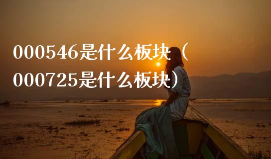 000546是什么板块（000725是什么板块）