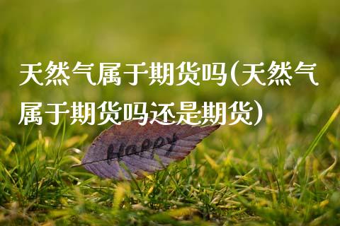 天然气属于期货吗(天然气属于期货吗还是期货)